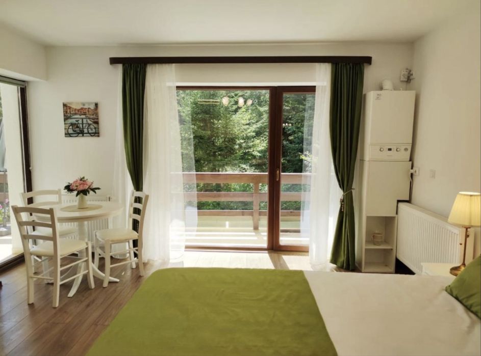 Vand apartament Studio Predeal