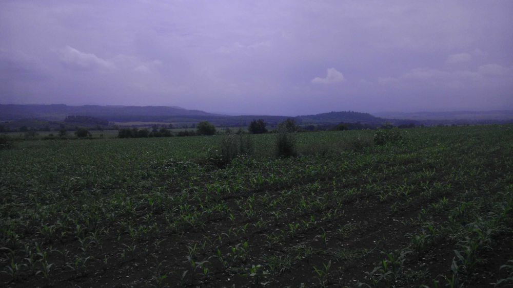 Продавам парцел 5188м2 до Севлиево с лице на главен път София -Варна