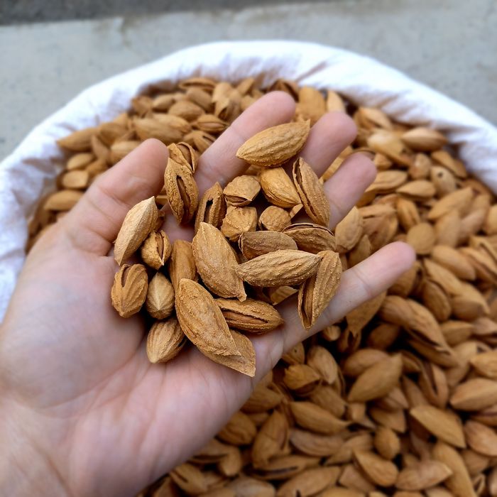 Бодом миндаль bodom отборный калефорния chaqchuq орехи