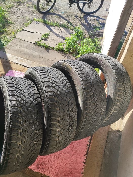 Nokian Hakkapelitta