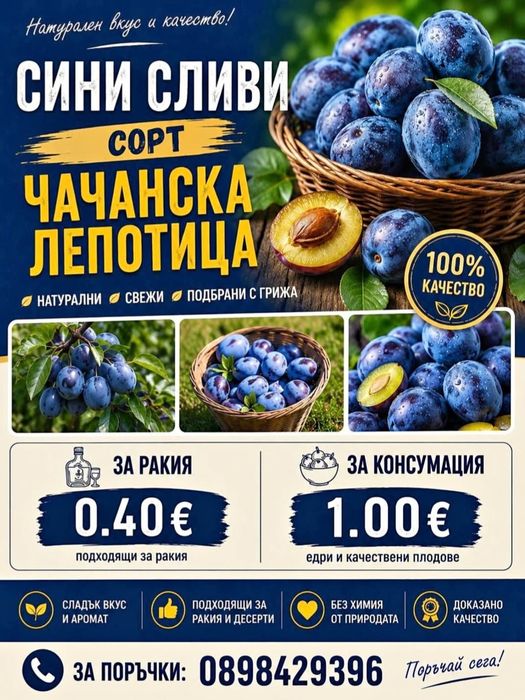 Сини сливи чачанска