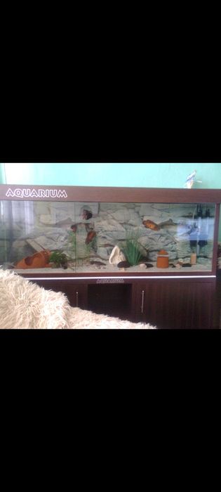 Аквариум - 290л.