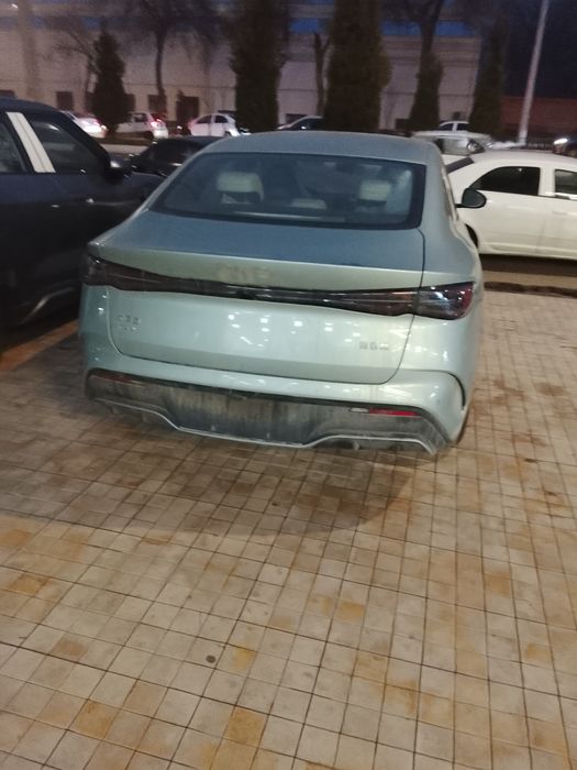 Build your dream seal 06