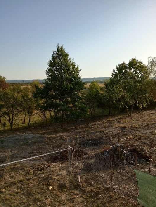 Teren intravilan Bascov Glamboc Deal 46 A toate utilitățile trase 500 mp si 922 mp