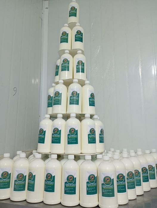 Qimiz, Qumron, Ayron, Goʻja, Kamolot, Qurtob