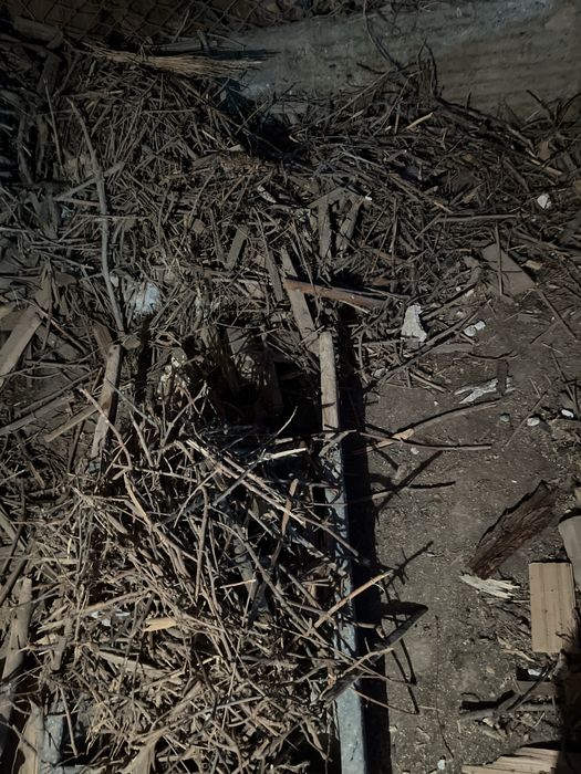 Отдам дрова бесплатно