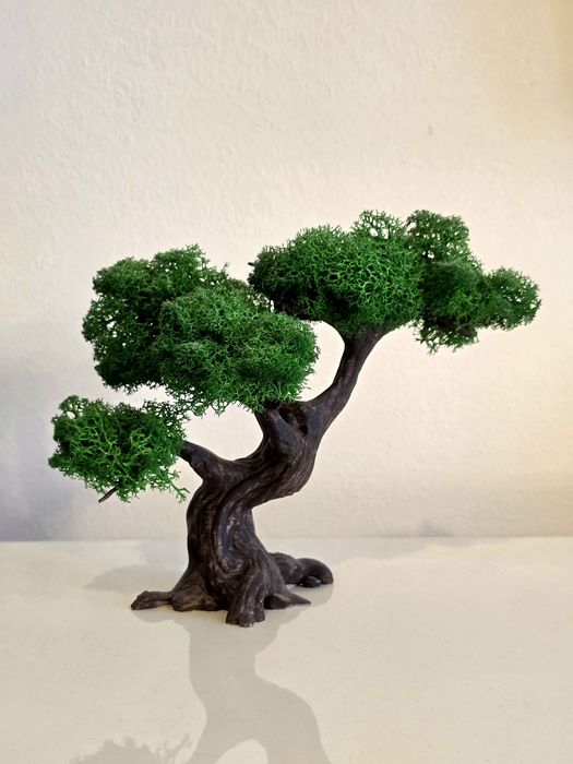 Bonsai printat 3D cu licheni