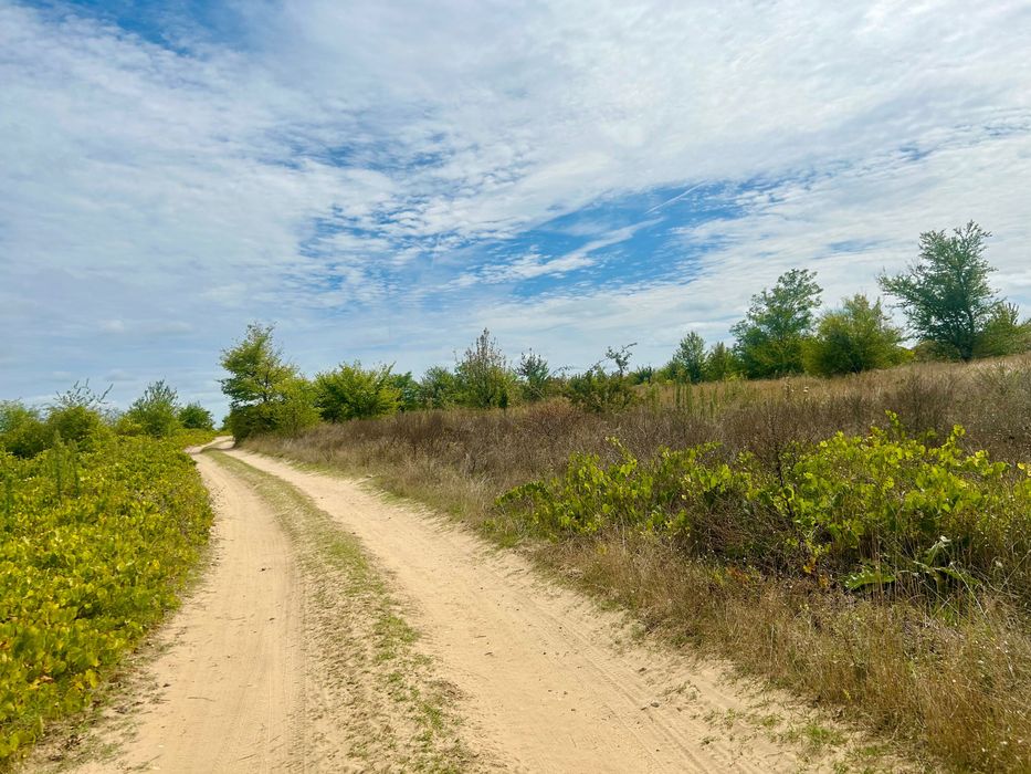 Продава се Парцел в Варна, м-т Боровец - юг - 28000 кв.м за 35 €/кв.м - Снимка #1