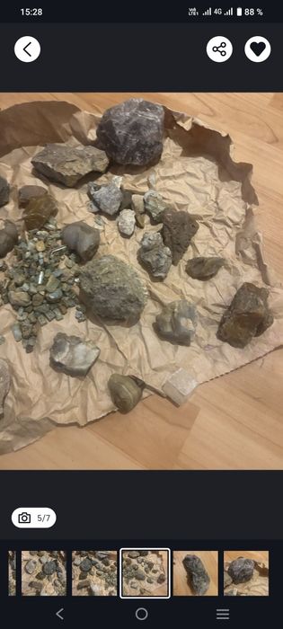 Продам для дикарации