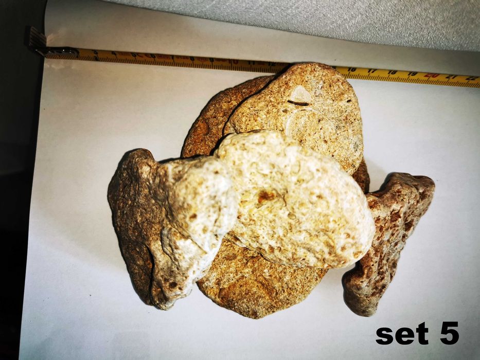 Ornamente naturale (la set) pentru terarii, acvarii, spatii int si ext