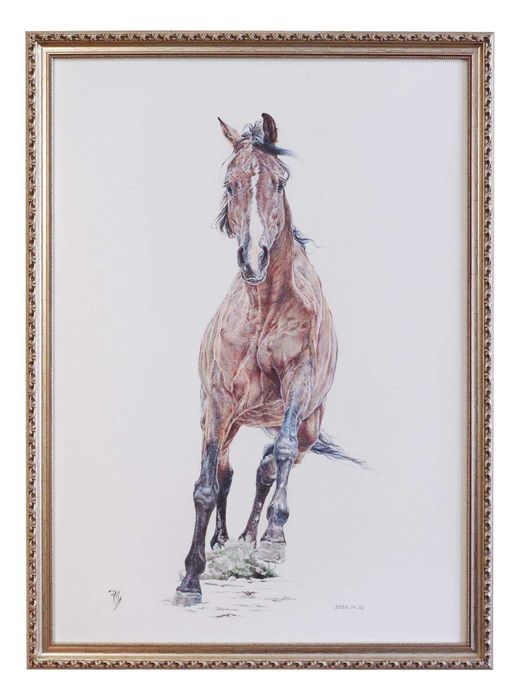 Прекрасни  картини