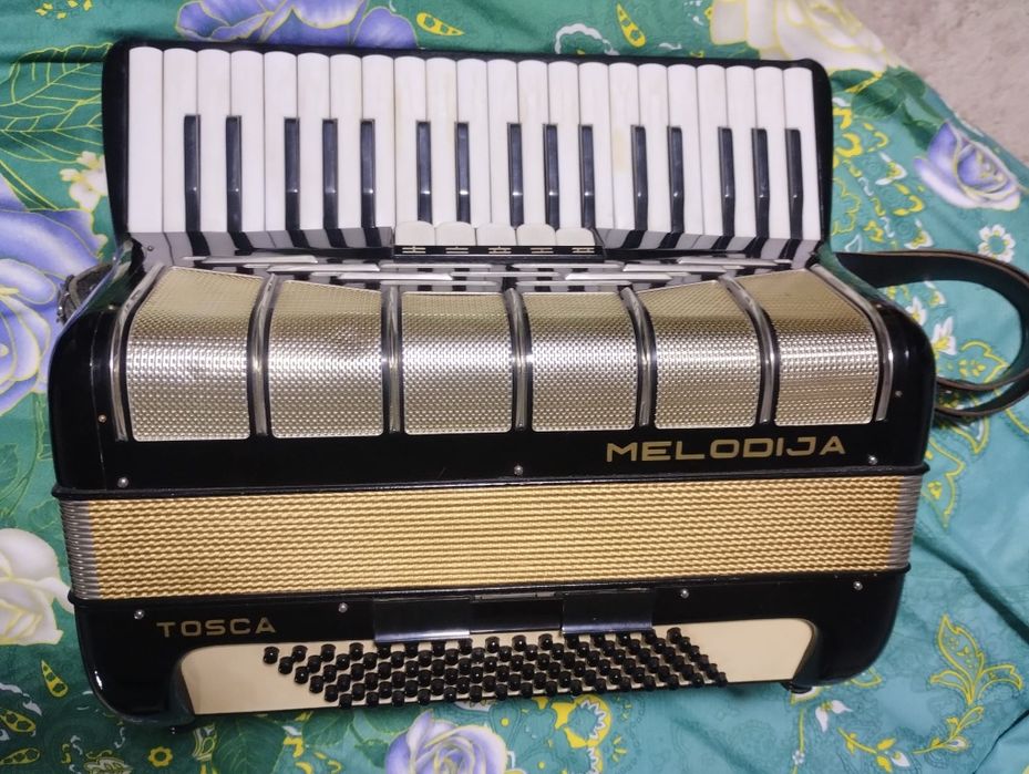 Acordeon mediu MELUDIJA