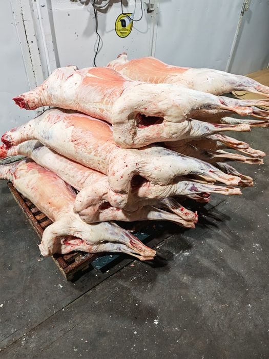 Мясо баранина оптом