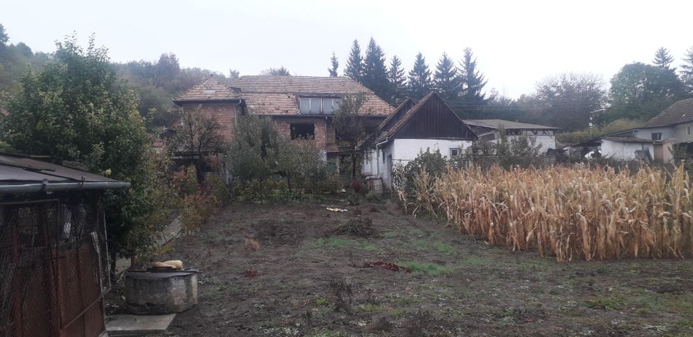 Vând casă Ceuașu de Câmpie, 50 mii €uro negociabil