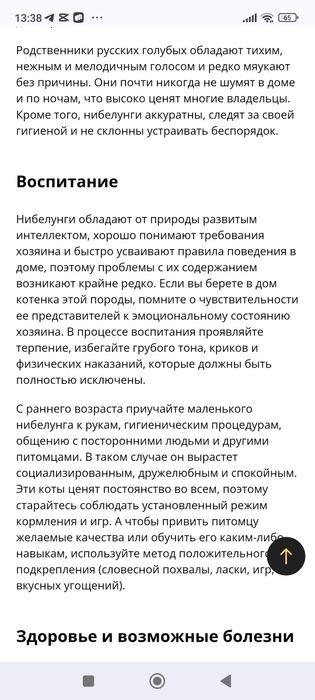 Котята породы Нибелунг