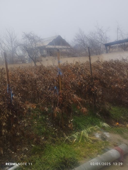 Xovli uy sotiladi 10 Sotix yiliga 3000 $ daromi bor