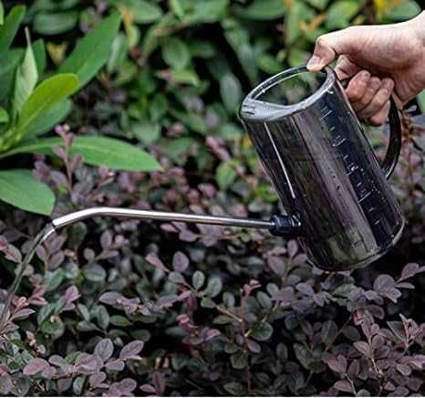 Кавитационная вода