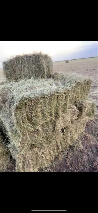 Продам тюк 500тг