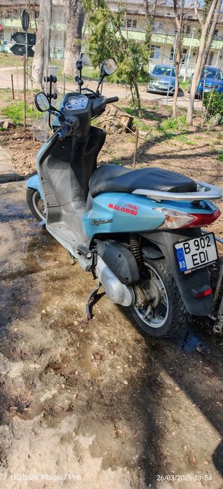 Scuter honda dylan 125cc categoria B