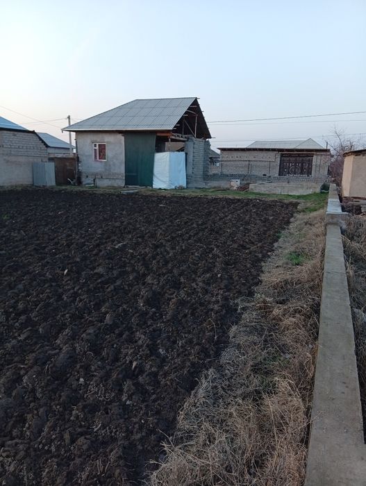 12 yarmiyam kelwib qosek sotladi