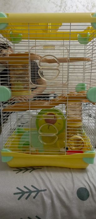 Клетки для хомяков