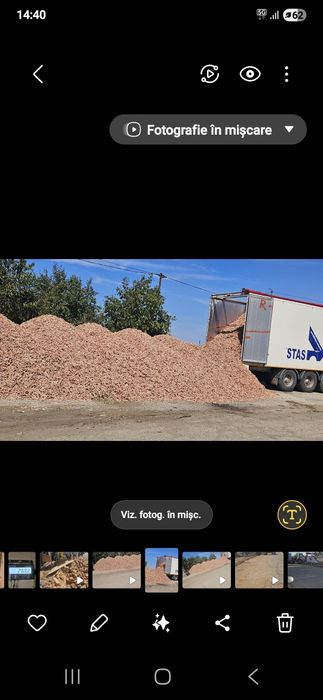 Coceni bătuți ( uscați la uscator)