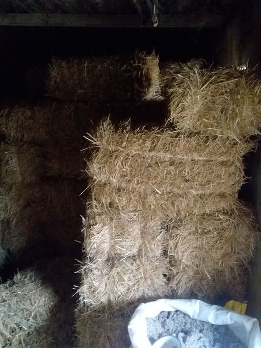 Прес сомон сотилади