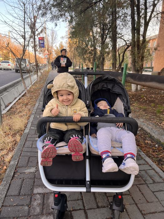 коляска для двойняшек