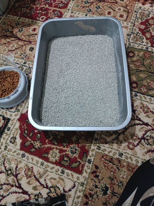 Продам отличный набор для кошки / котёнка.