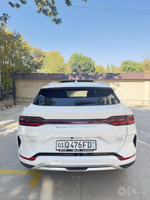 Byd champion 2024 gibrit 150 talik sotiladi