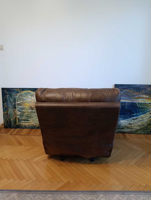 Fotoliu balansoar cu recliner. Exceptional!