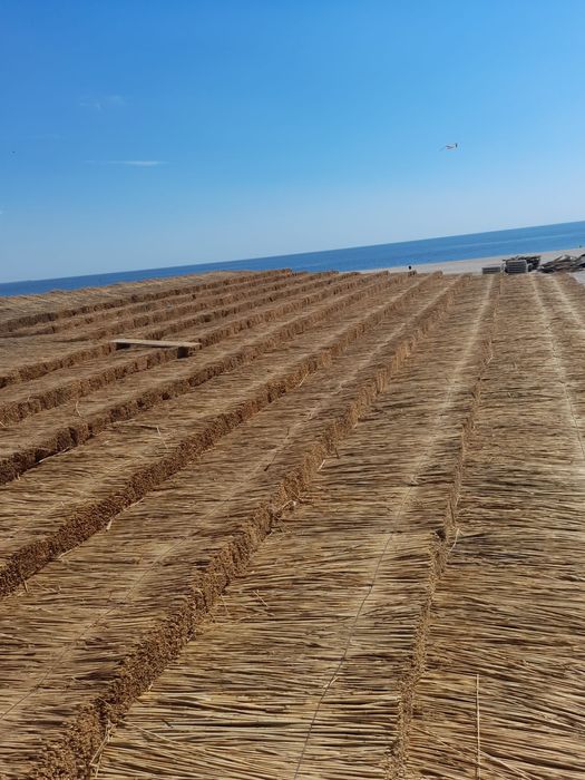 Vand stuf de anu asta