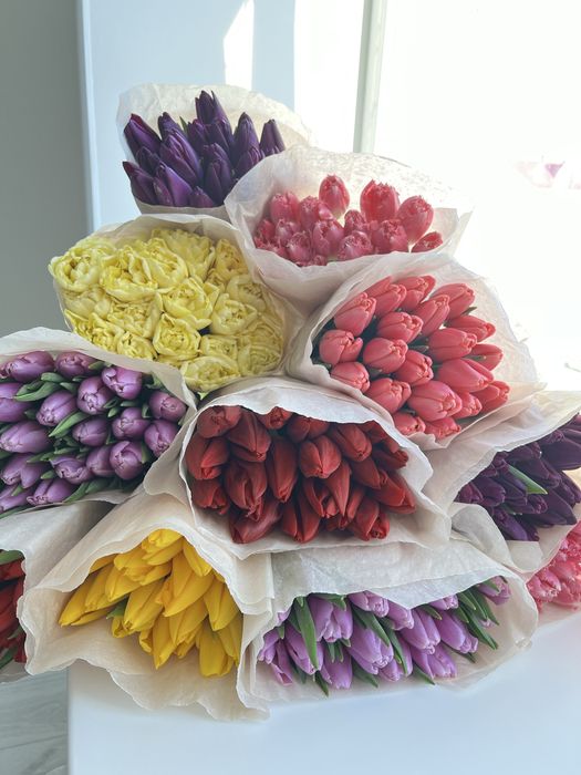 Тюльпаны в Актобе