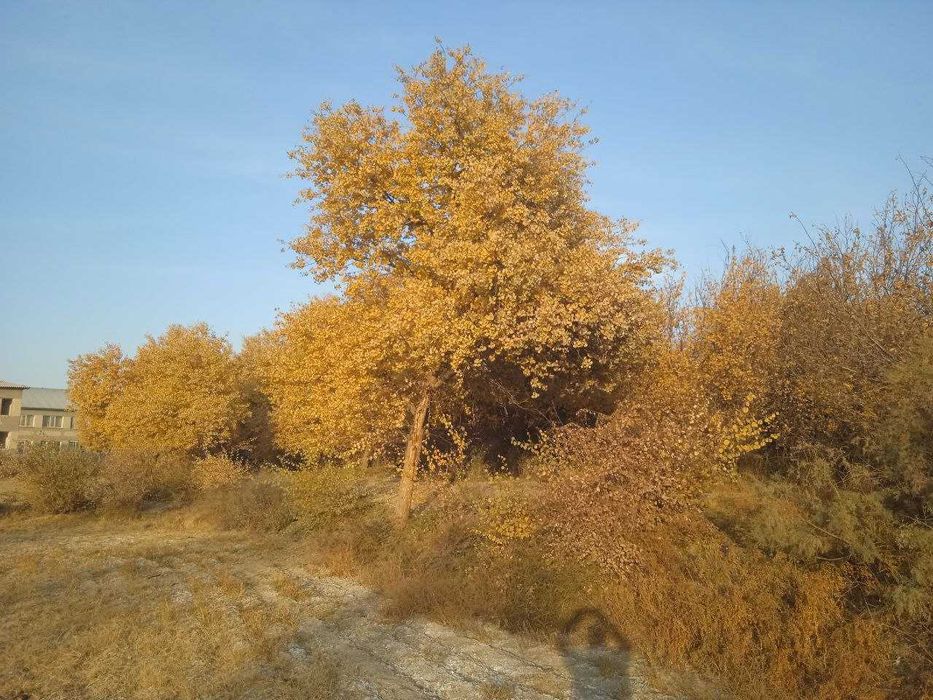 3.35 Gektar yer maydoni sotiladi (biznesingiz uchun qulay lokatsiya)