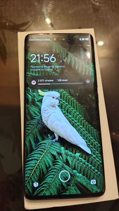 Xiaomi 13 lite 8/128