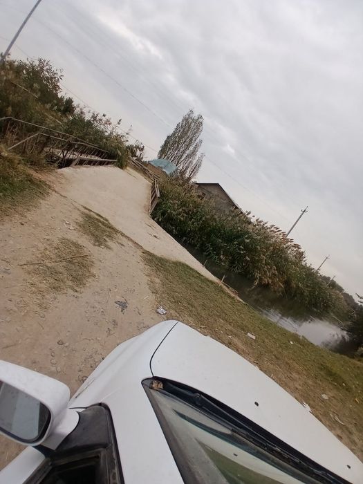 Участка ва молхона