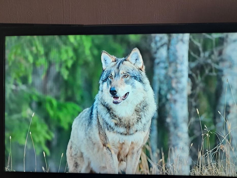 Телевизор samsung 40" смарт 105см диогонал