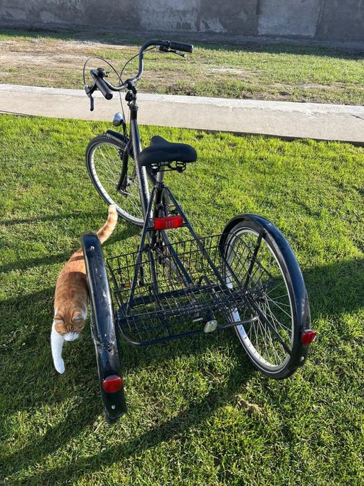 Tricicletă pentru adulți