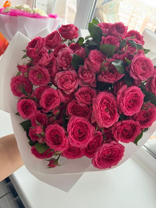 Кустовые розы, белые розы