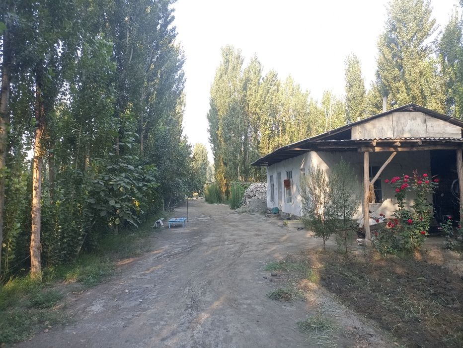 Чорва ферма сотилади 40 сотих