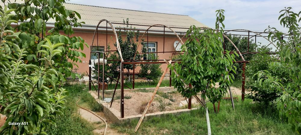 Дом на земле природа