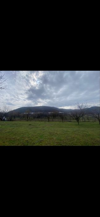 Vand teren intravilan Poplaca, 400 mp