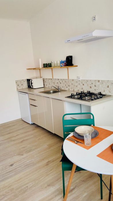 Ap de închiriat central lângă facultate de medicină