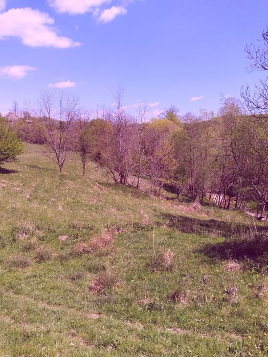 Teren de vis la munte – 7.795 mp – construibil – pârâu, pădure, fără vecini – Vâlcea