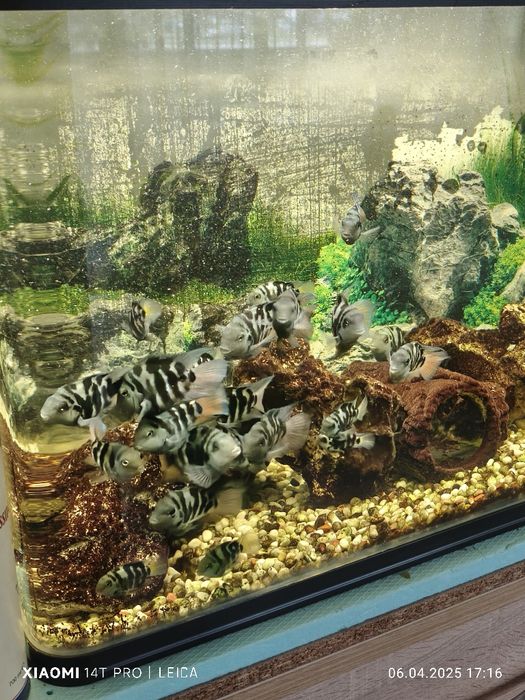 Продавам Аквариум 128л.