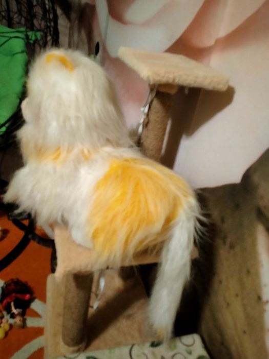 Игрушка кошка 55 см