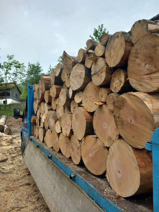 Lemn de foc fag buștean paleti de ceuri și deșeuri de fag