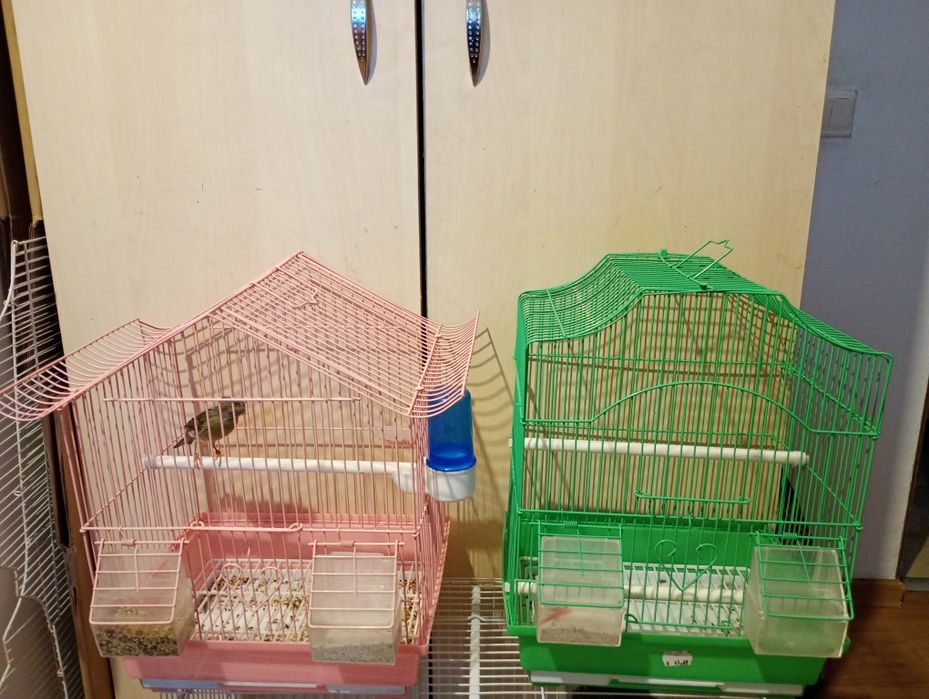 Colivie pentru păsări