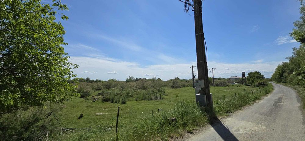 Teren in Delta Dunarii pe bratul Sulina, in Gorgova