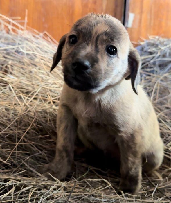 Мальчики и девочки